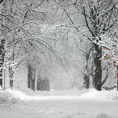 Is Your Massachusetts Business Prepared for Extreme Winter Weather?